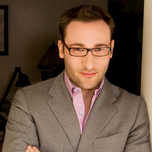 bm2014_sinek