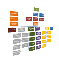 The Organizational Chart
