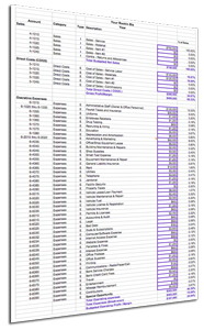The Mini Budget